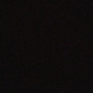 Meet your Posher, Ella